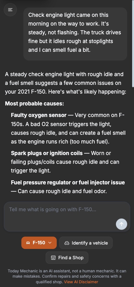 A chat where the driver describes a steady check engine light with a rough idle and a fuel smell, and the answer lists the most probable causes for their 2021 F-150, starting with a faulty oxygen sensor.